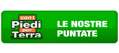 Trasmissione