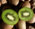 Kiwi, convegno nazionale a Viterbo e Latina 