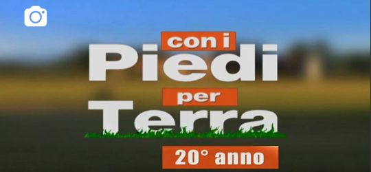 Seguiteci su Facebook