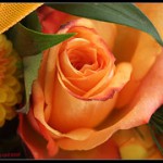 Festa della Mamma: 5 milioni di italiani hanno regalato un fiore