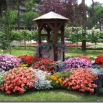 Gardening: mercato tonico nel primo semestre 2015
