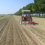 Agricoltura: allarme Coldiretti,crollo prezzi nelle campagne
