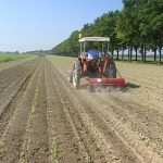 Prezzi: Ismea, prosegue ad aprile calo prodotti agricoli