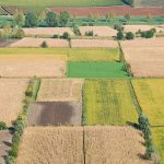 Agricoltura: Uila, dati Ismea tolgono alle imprese alibi per rinnovo dei contratti