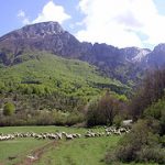 Ue aumenta sostegno a agricoltori colpiti dal terremoto