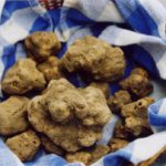Terremoto, si farà comunque mostra mercato tartufo Norcia