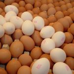 Cibo in Italia più caro della media Ue. Latte e uova +21%