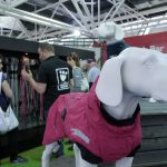 Zoomark: boom di espositori per la fiera sui prodotti pet