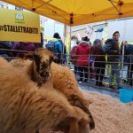 Terremoto: agricoltori a Roma, Meno chiacchiere più stalle