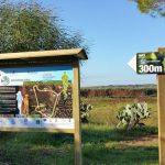 Fattorie sportive, dove il movimento sposa l'agricoltura