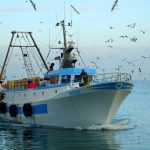 Pesca e acquacoltura: un tavolo di consultazione al Mipaaf