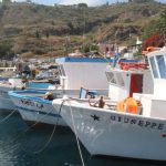 Firmato decreto fermo pesca 2017: si parte il 31 luglio