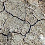 Non piove, situazione sempre più critica per l'agricoltura