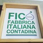 Aprirà a Bologna il 15 novembre FICO Eataly World,