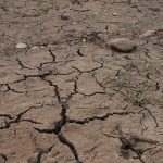 Caldo record a Bologna: Coldiretti chiede stato di calamità
