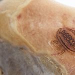 Il Ceta compie un mese: Confagri ER, avrà un effetto traino sulle produzioni agricole