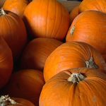 Halloween: festa della zucca nei mercati di Campagna Amica
