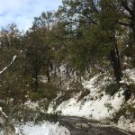 Neve: montagna bolognese in difficoltà per mancanza di manutenzione