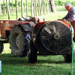 Pensione a 70 anni: Cia Ferrara, fare l'agricoltore è gravoso