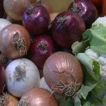 Cresce ancora a doppia cifra il bio in Emilia Romagna