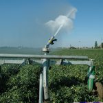 2017 molto difficile per l'agricoltura. Le stime di Confagricoltura
