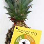 Si chiama “Dolcetto” l'ananas bio ed equosolidale di Alce Nero