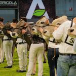 Fieragricola 2018 molto positiva per l'Associazione Allevatori