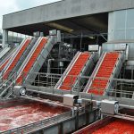 Pomodoro: Gardini, soddisfazione per l'obbligo di origine