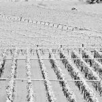 Febbraio chiude con la più forte ondata di freddo invernale