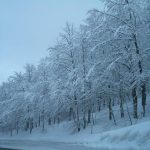 Neve necessaria, ma rischio gelate preoccupa gli agricoltori