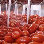 In GU l'obbligo di origine in etichetta per i derivati pomodoro. Soddisfatta ANICAV