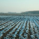 Maltempo: in Emilia Romagna Coldiretti stima danni per 100 mln. 