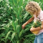 Agricoltura: nel 2017 in Emilia Romagna +2,8% le imprese under 35