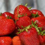 13-18 giugno: Sagra della fragola S.Stefano (RA)