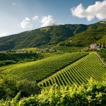 Unesco, non passa la candidatura per le Colline del Prosecco